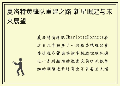 夏洛特黄蜂队重建之路 新星崛起与未来展望 夏洛特黄蜂队重建之路 新星崛起与未来展望