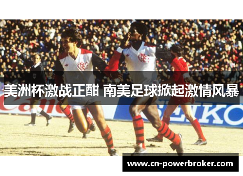 美洲杯激战正酣 南美足球掀起激情风暴